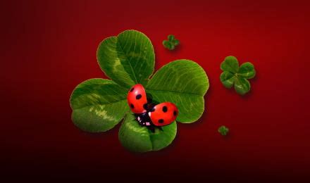ladbrokes bingo lobby|Ladbrokes Bingo Rooms.